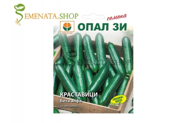 Семена на къса краставица Бета Алфа Семена на къса краставица Бета Алфа